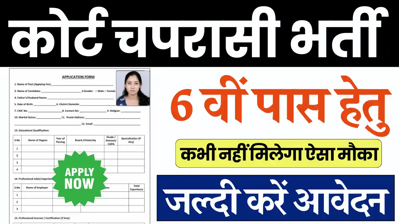 कोर्ट चपरासी भर्ती, High Court Peon Vacancy, Allahabad High Court Peon Vacancy