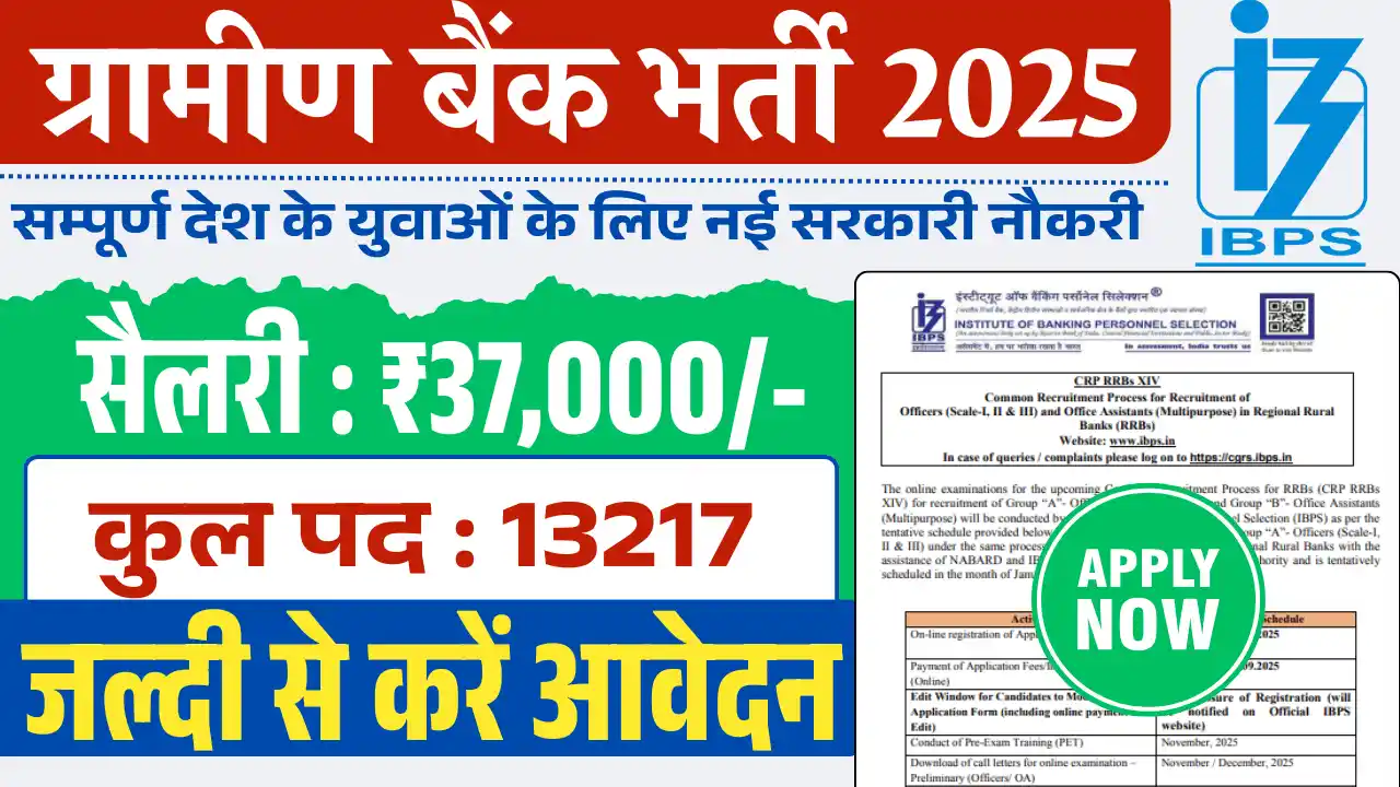IBPS Gramin Bank Vacancy 2025, ग्रामीण बैंक भर्ती 2025