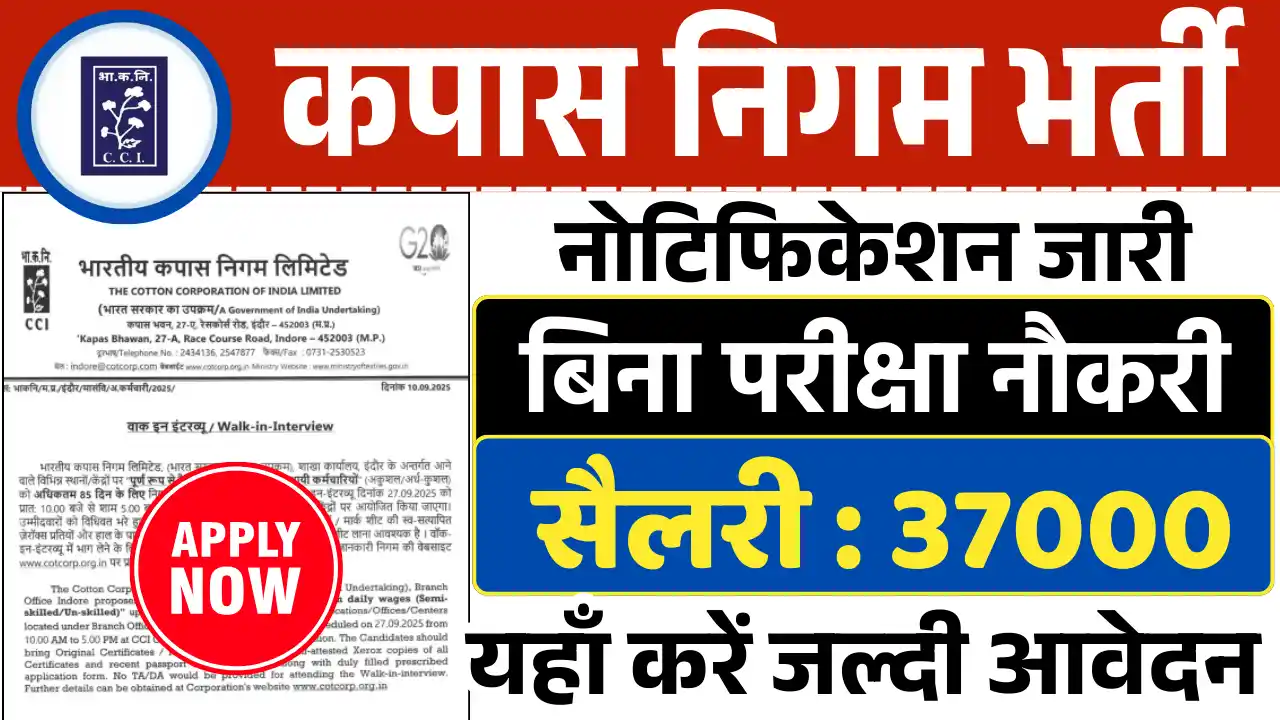 MP Cotten Corporation Recruitment 2025